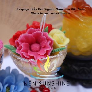 nen coc hoa sunshine